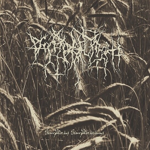 Vimbulnatt simplicius - vimbulnatt,
